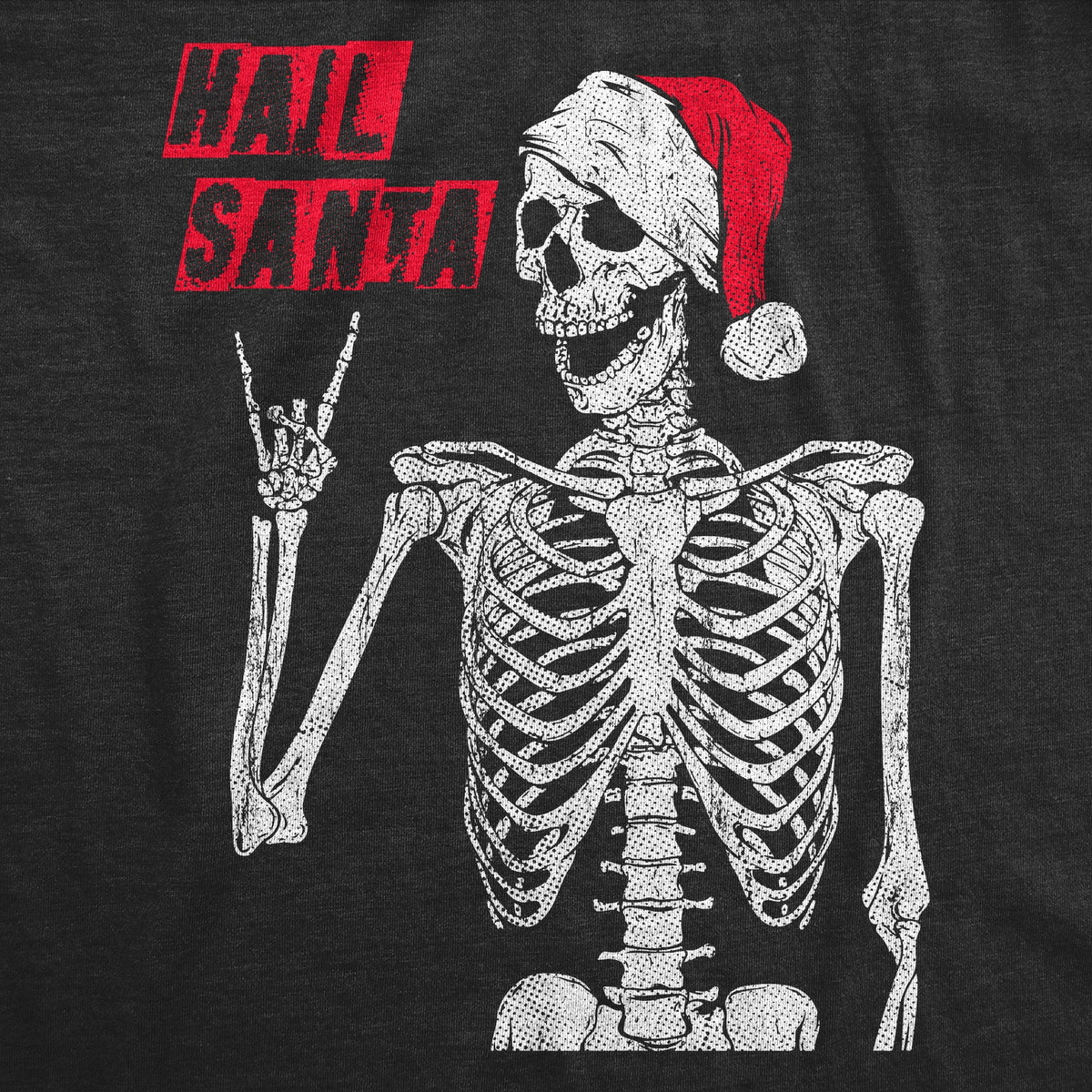 Hail Santa Women's T Shirt