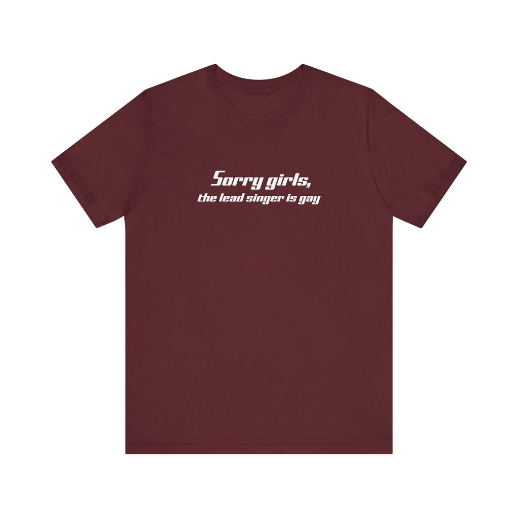 Sorry Girls - The Lead Singer Is Gay - Men's T-Shirt