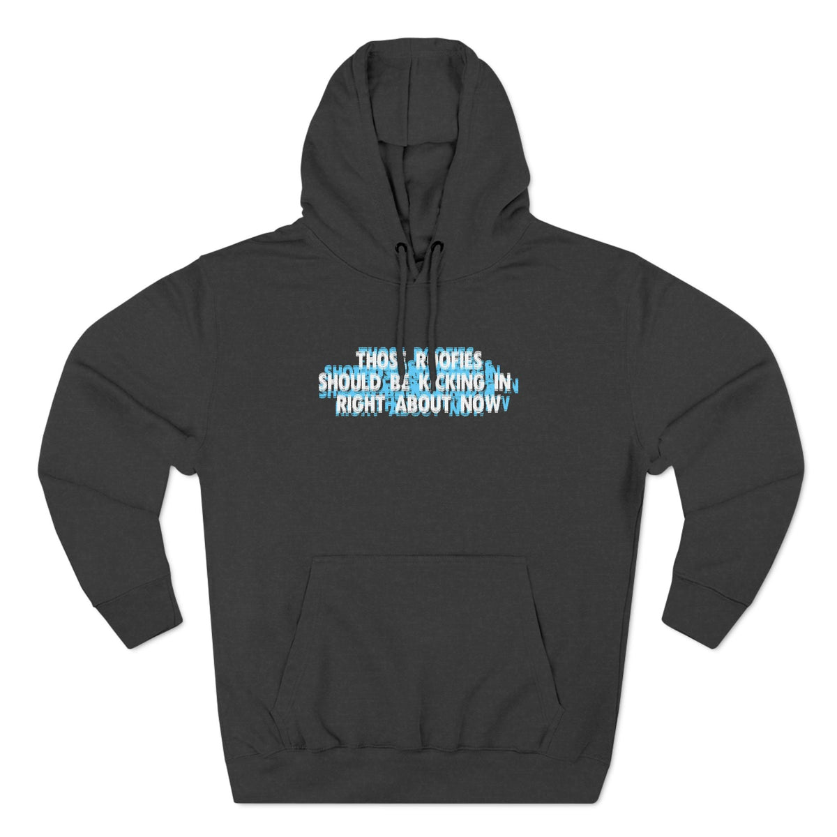 Those Roofies Should Be Kicking In Right About Now - Hoodie