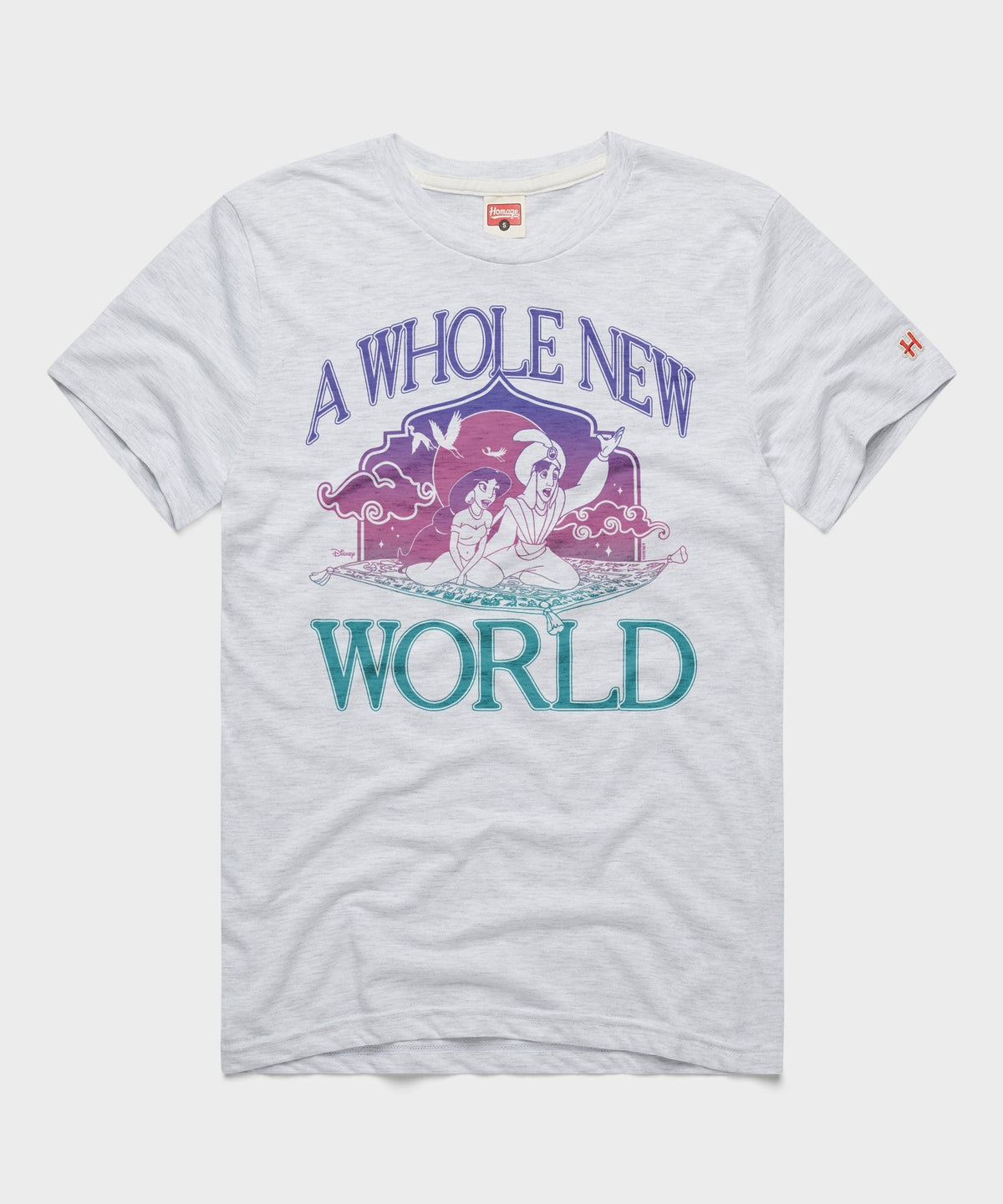Aladdin A Whole New World