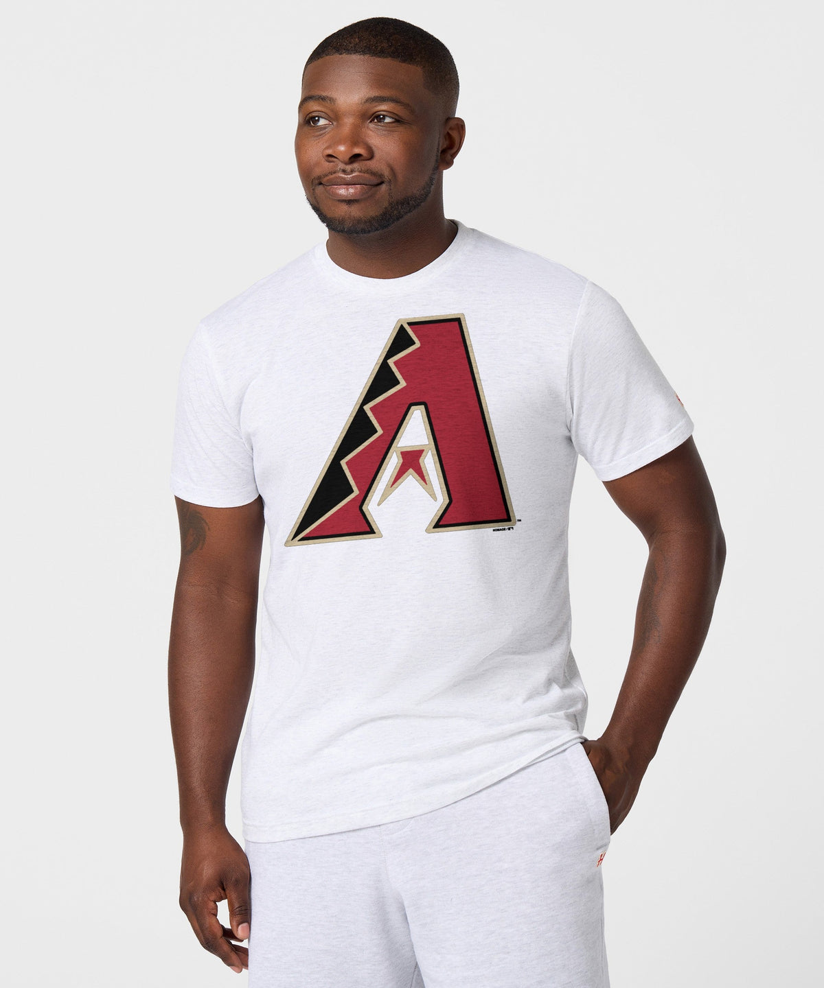 Arizona Diamondbacks '12