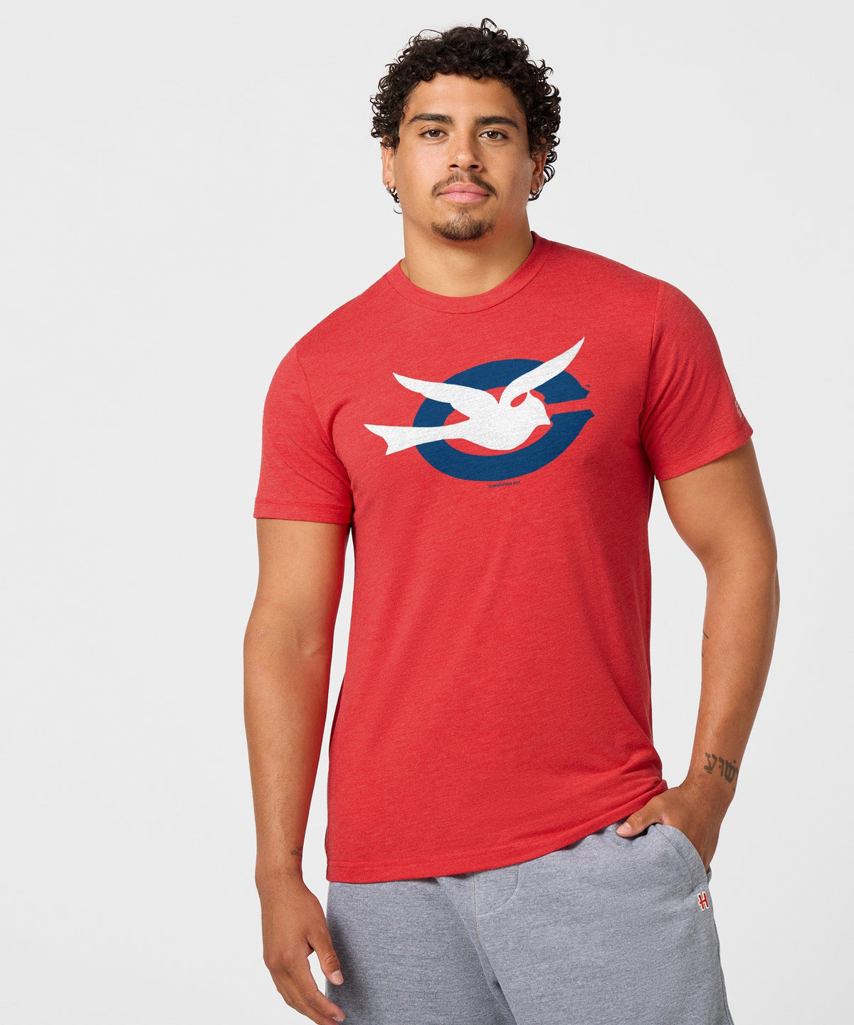 Columbus Red Birds