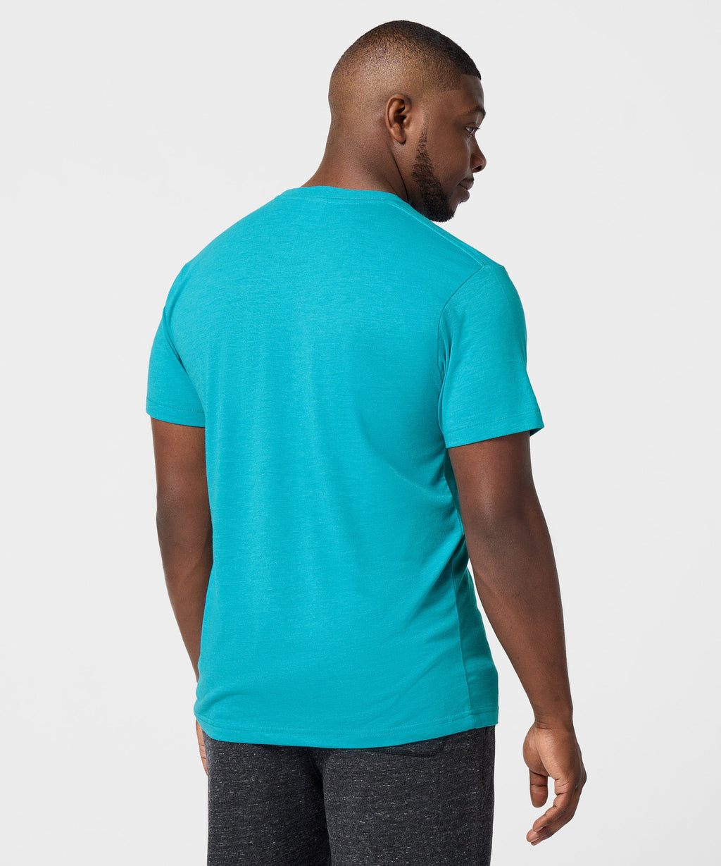 Miami Dolphins Crest