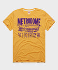 Minnesota Vikings Metrodome