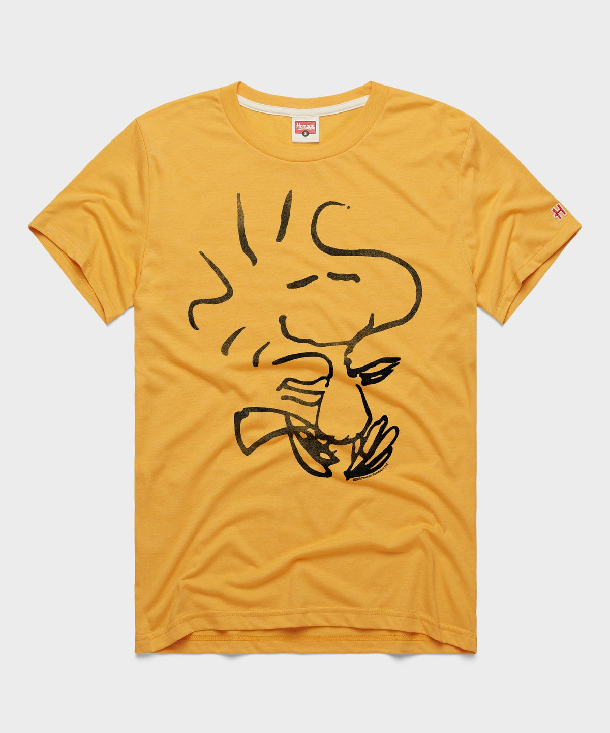 Peanuts Woodstock Character