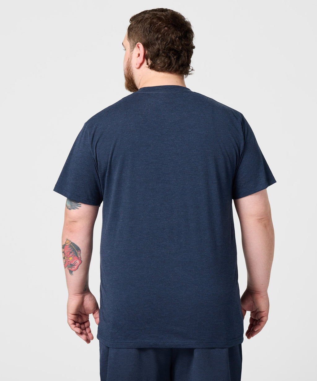 Script Michigan Wolverines
