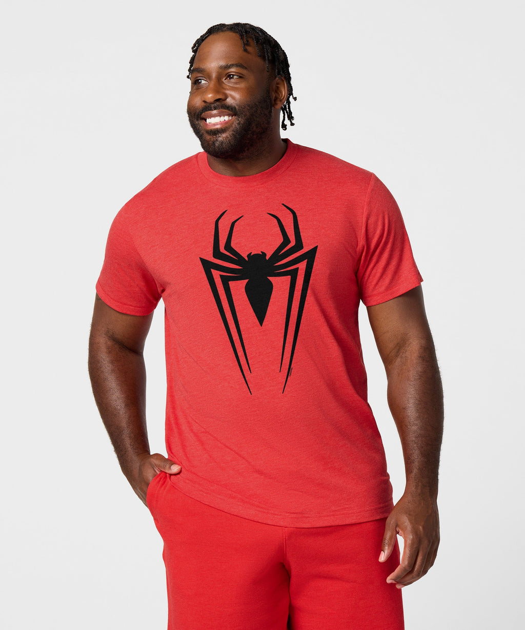 Spider-Man Logo