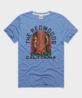 The Redwoods California