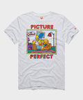 The Simpsons Picture Perfect