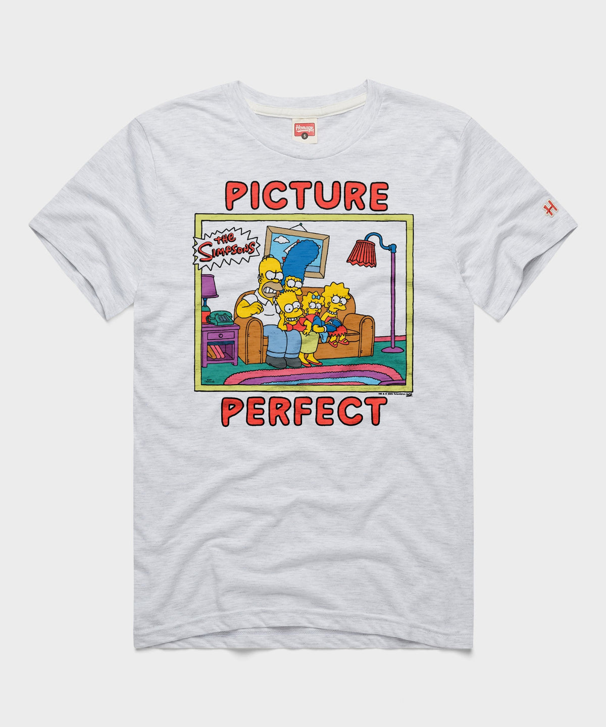 The Simpsons Picture Perfect