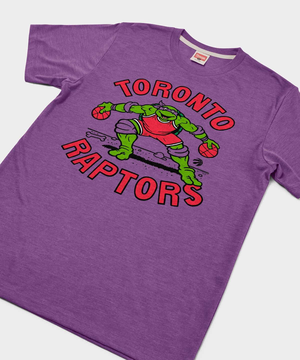TMNT Donatello X Toronto Raptors