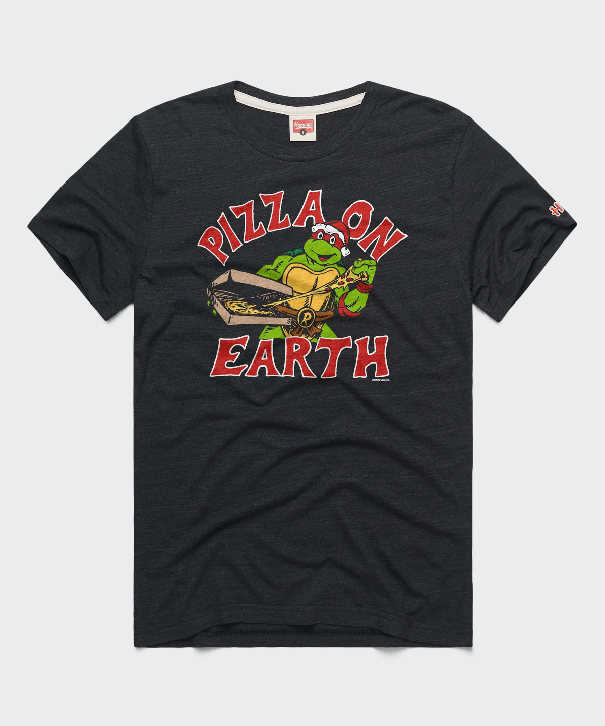 TMNT Pizza On Earth