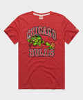 TMNT Raphael X Chicago Bulls