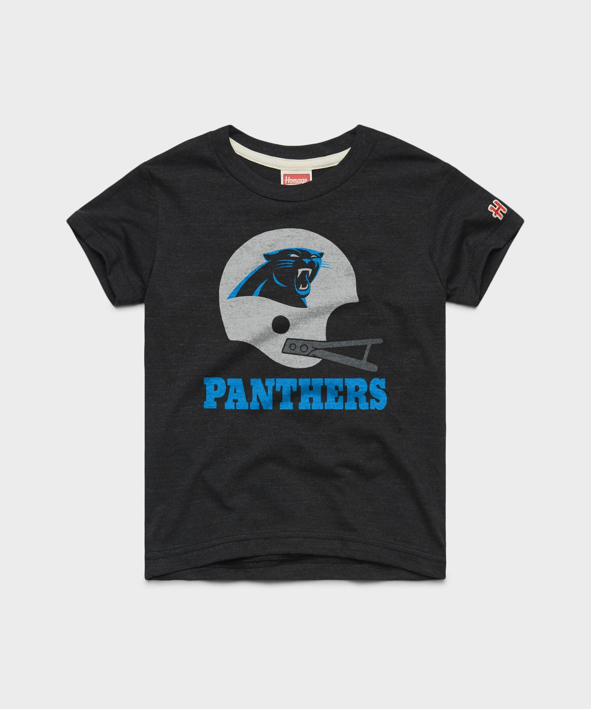 Youth Carolina Panthers Big Helmet