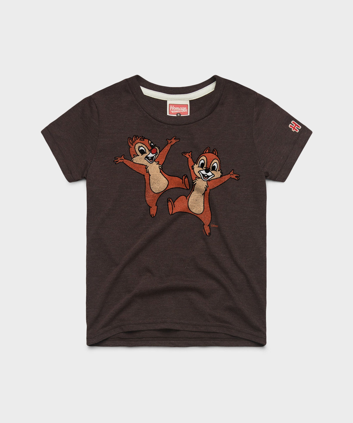 Youth Chip 'n Dale Character