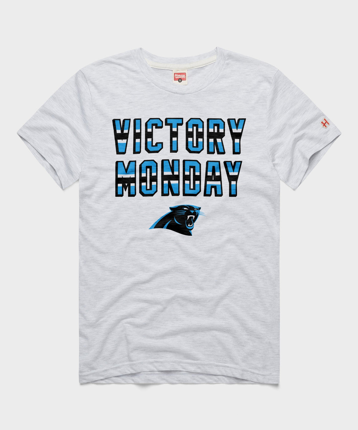 Carolina Panthers Victory Monday