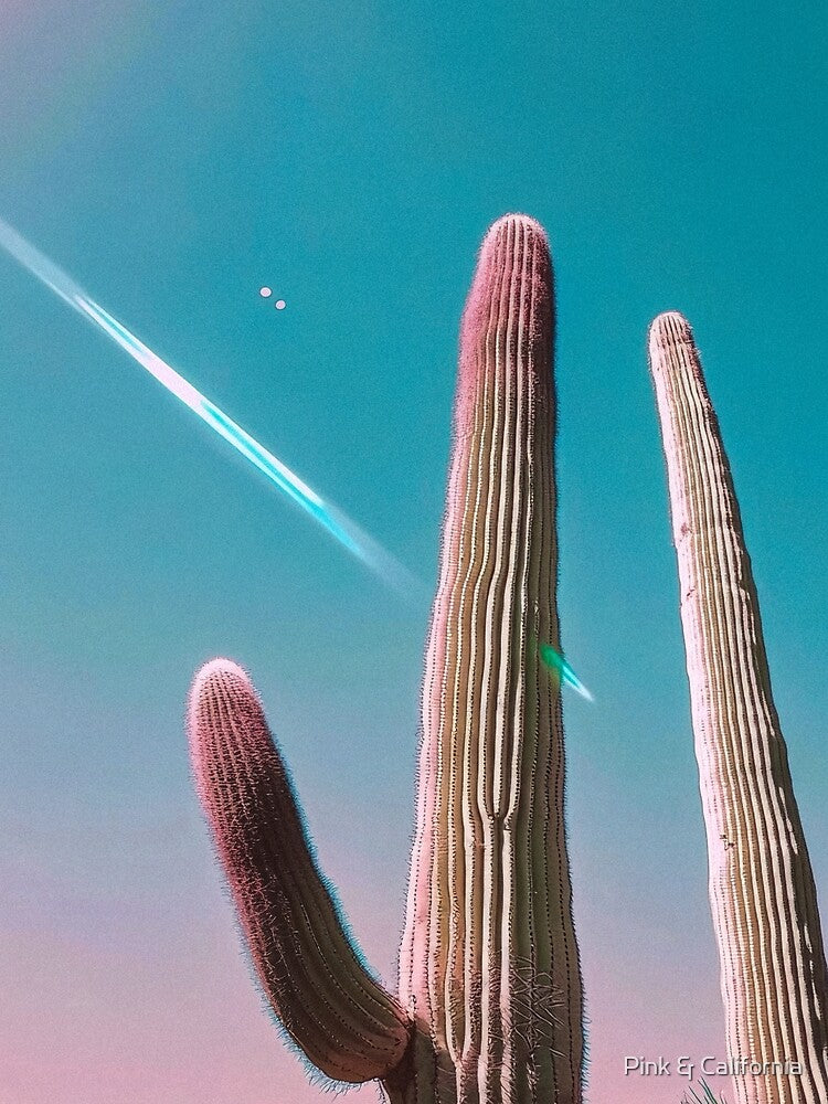 Giant Cactus under Turquoise Sky – Retro Desert Poster by Pink & California