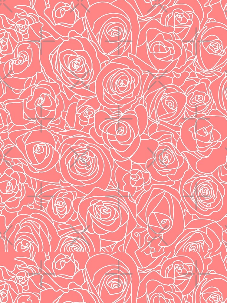 Roses white on pink by flotsamm