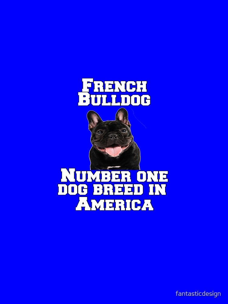 French Bulldog Lover French Bulldog Number One Dog Breed In America by fantasticdesign