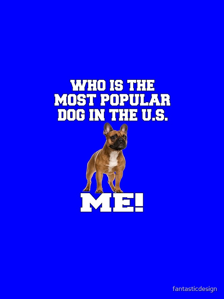 French Bulldog Lover Who Is The Most Popular Dog In The U.S. Me! by fantasticdesign