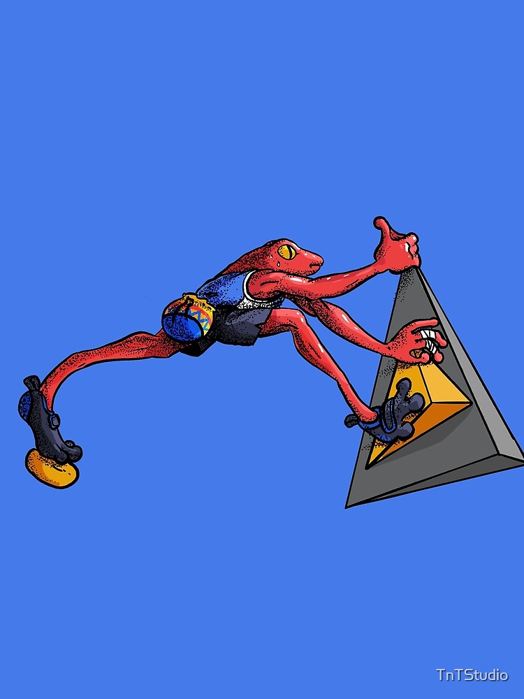 Boulder Frog by TnTStudio