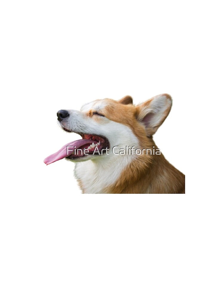 Corgi by Fine Art California