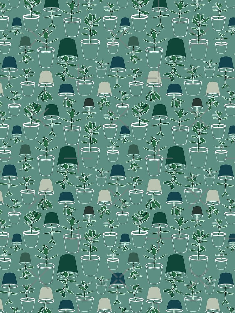 Colorful Greenery Jade Plants in Pots Design by RPuniquedesigns