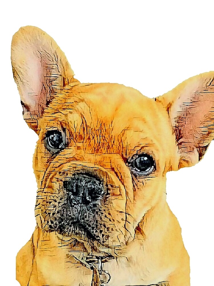 French Bulldog, Frenchie Mom, French Bulldog Puppy, Frenchie Puppy by FunShirtDesigns