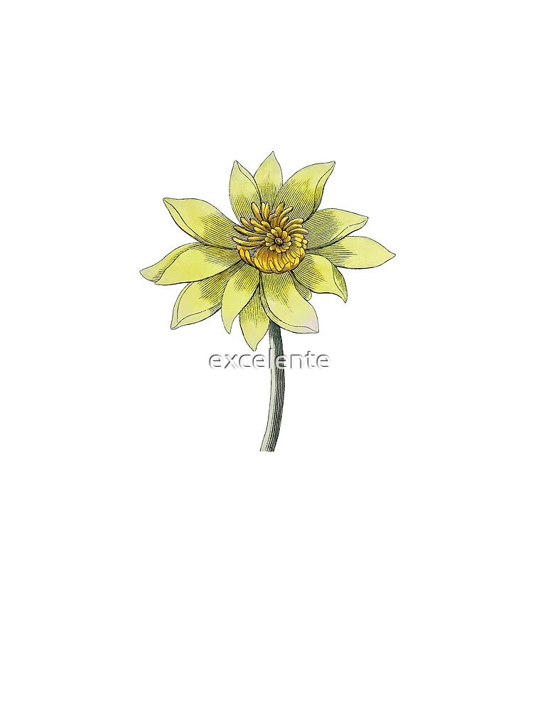 Vintage YellowLotus Flower by excelente