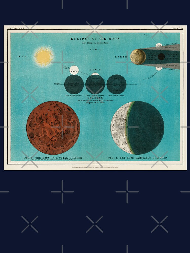 Antique Celestial Moon Phase Astronomy Chart Lithograph Eclipse of the Moon by Karianne Potter
