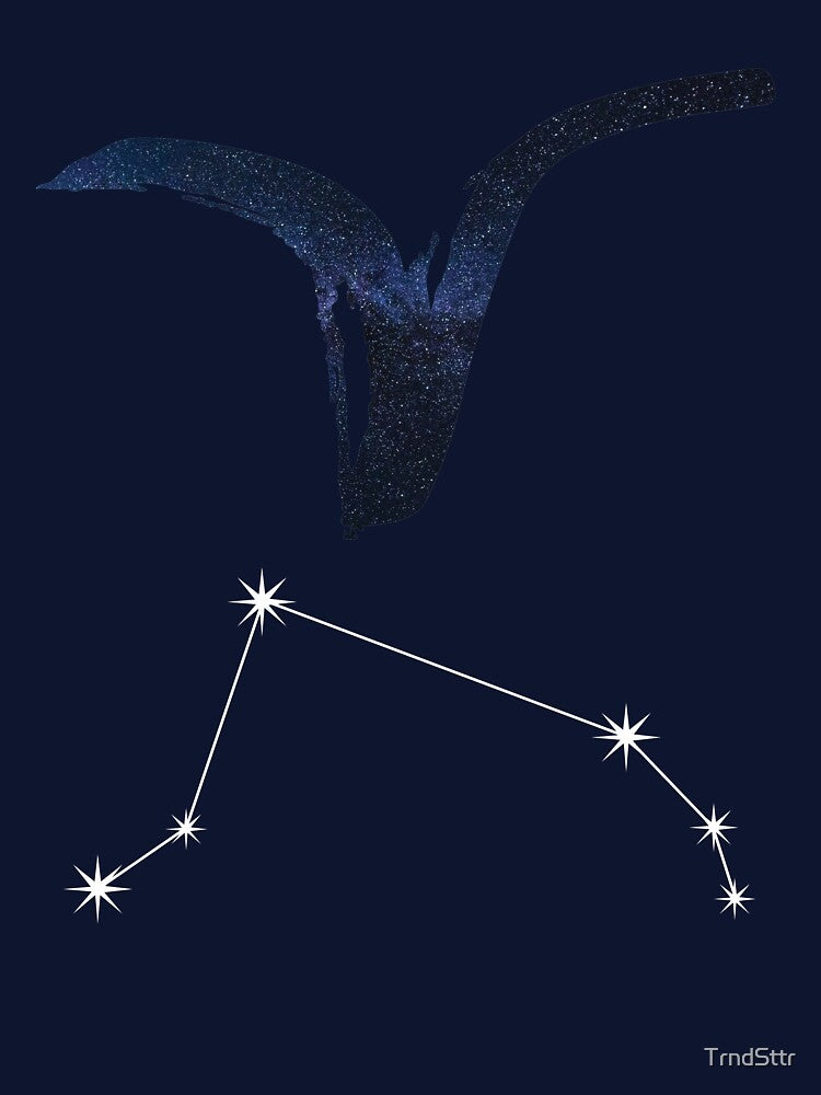 Astrology Gift for Aries Birthday Born in March or April by TrndSttr
