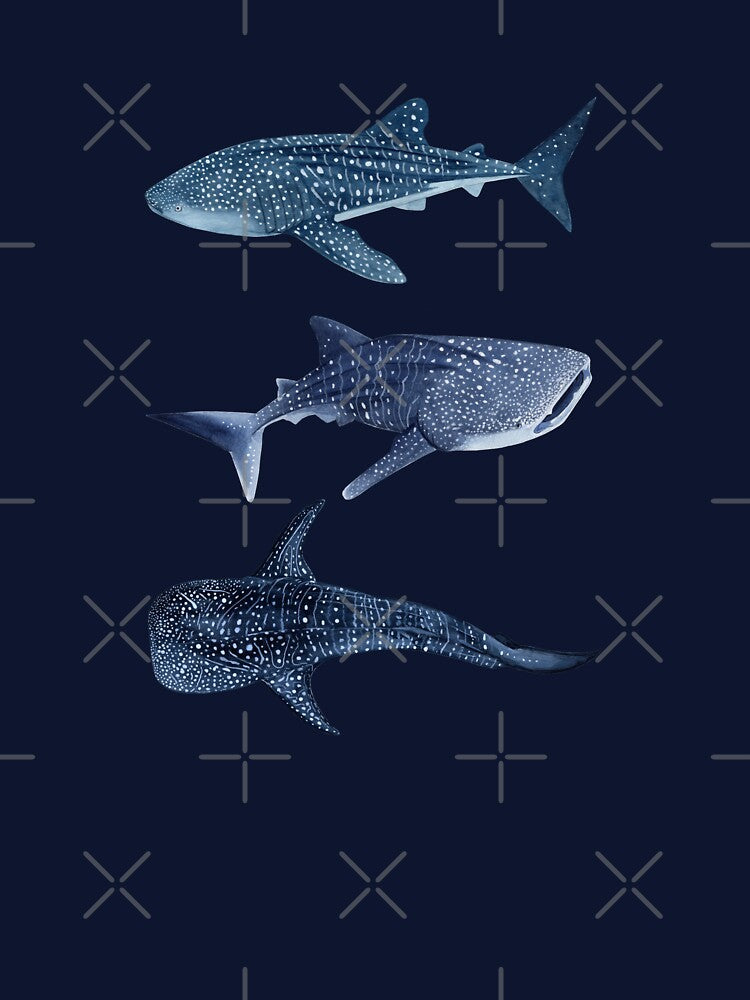 3 WHALE SHARKS-marine blue by BEATRIZ ABAITUA