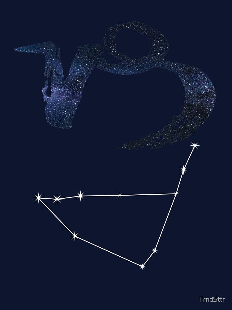 Astrology Gift for Capricorn Birthday Born in January or December by TrndSttr