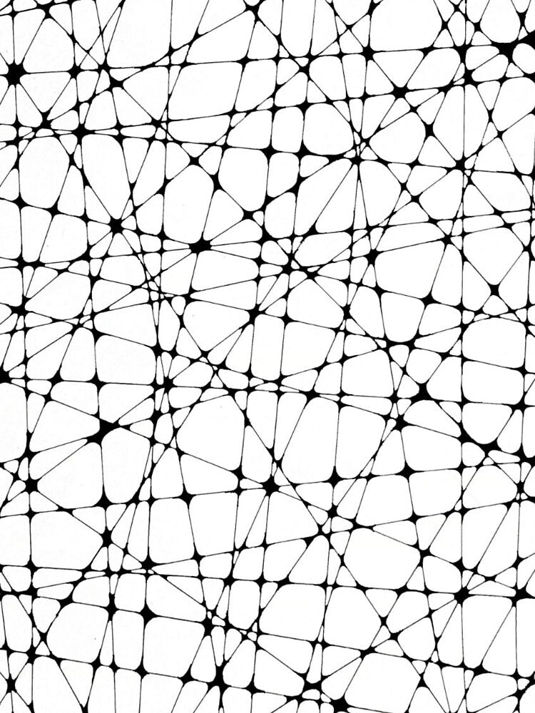 Hand Drawn Black & White Spider Web Line Doodle Pattern Illusion Art by NivyasArtistry