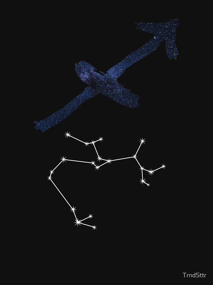 Astrology Gift for Sagittarius Birthday Born in November or December by TrndSttr