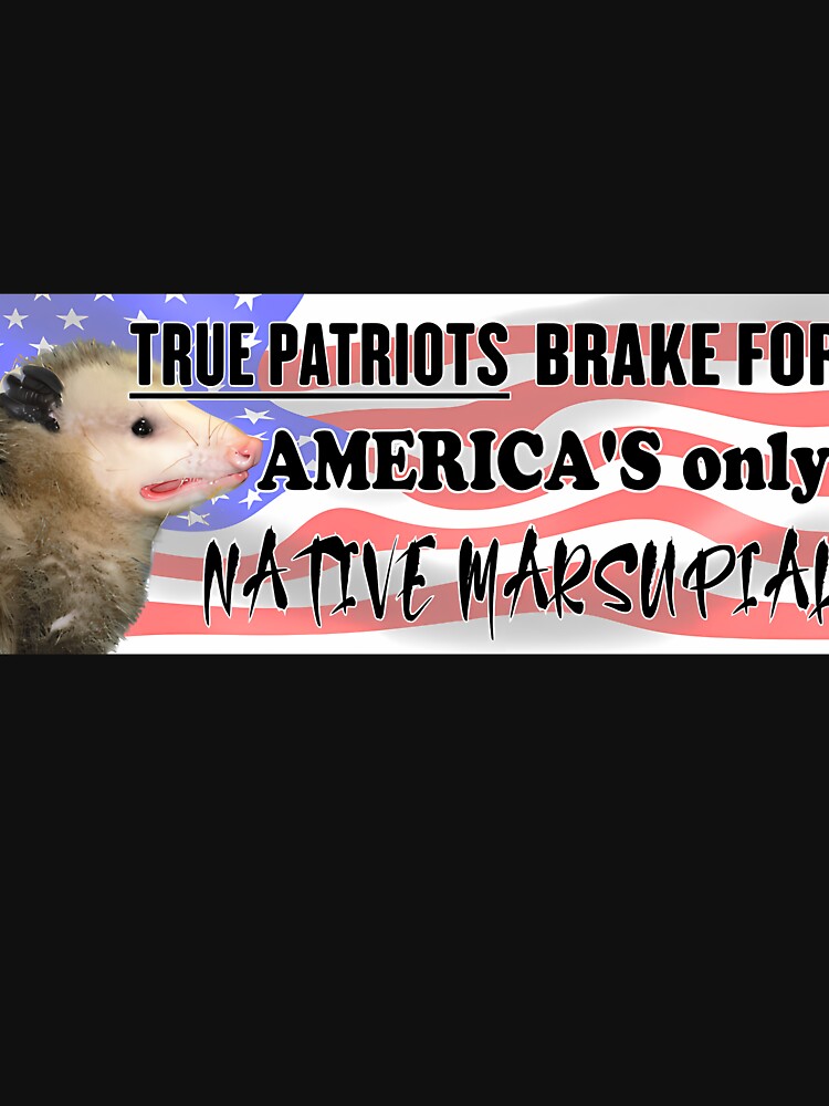 Funny Possum Bumper Sticker - I Brake For America'S Only Native Marsupial by Kaleighcormack