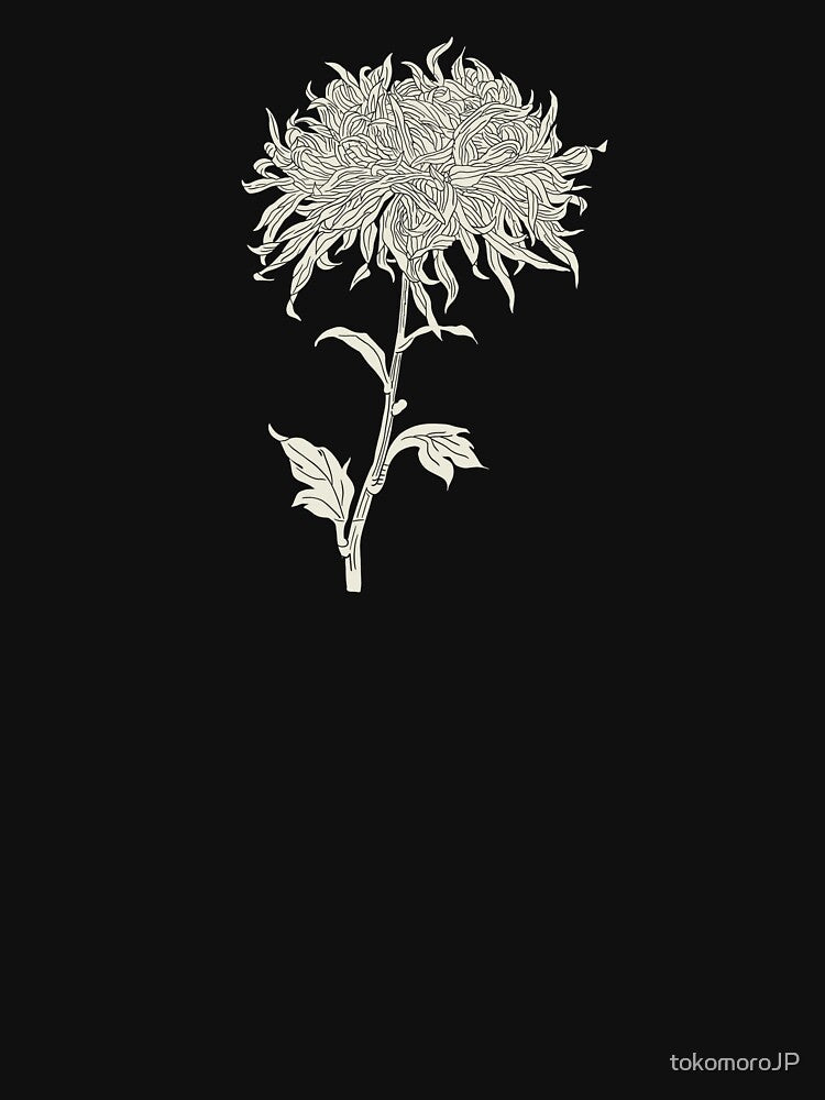 White Line Chrysanthemum – Japanese Botanical Bloom | Plant Atlas Series by tokomoroJP