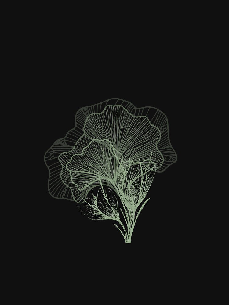 Elegant Line Art Botanical Flower Illustration by MELEK Ç.