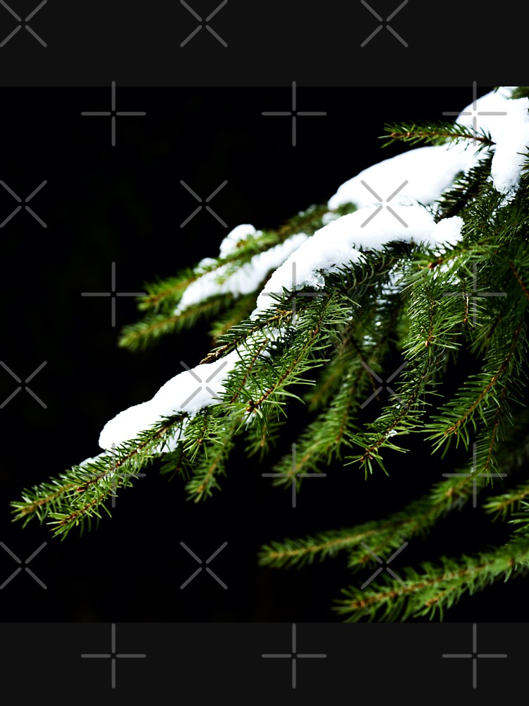 Pine tree branch covered with snow by Michaelerch