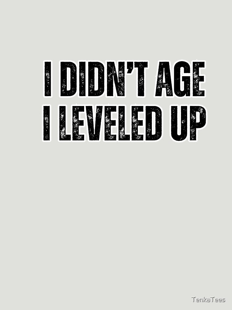 I Didn’t Age I Leveled Up - Funny Birthday Gamer Quote by TenkaTees
