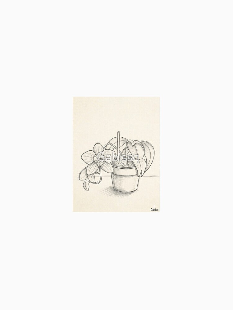 Orchid, Pencil Sketch, Botanical Art by Gabissq
