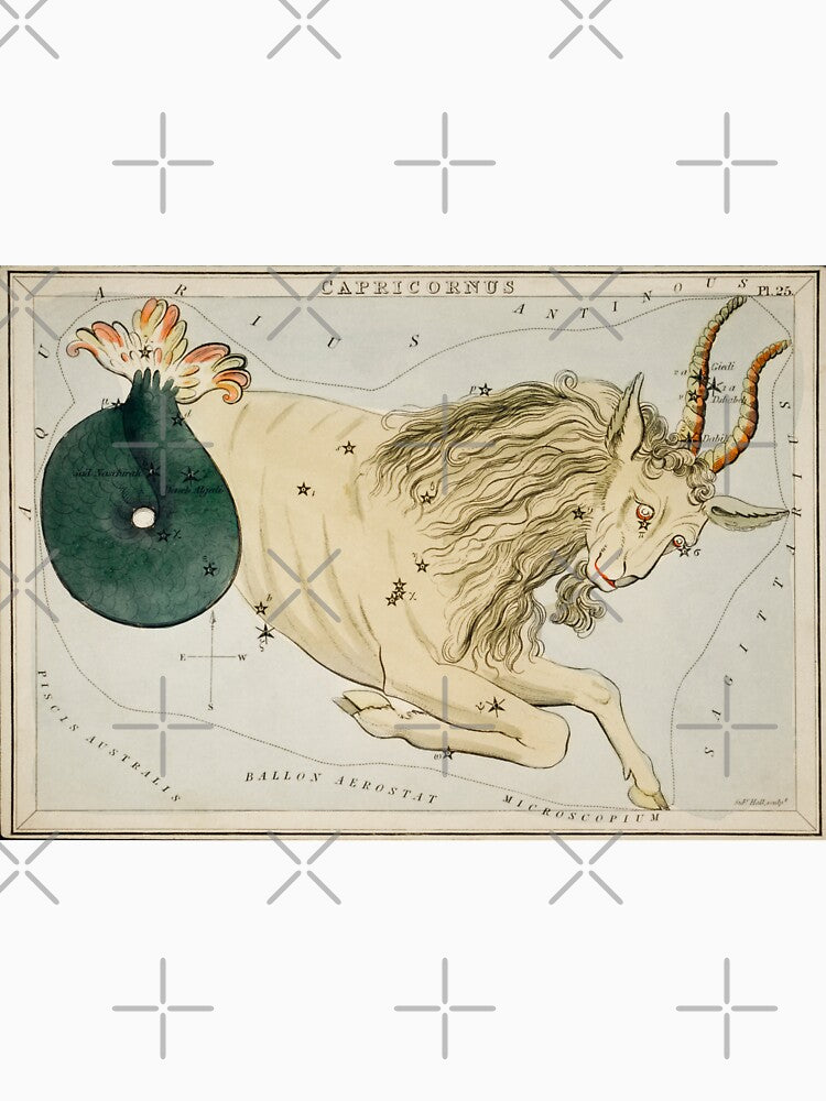 Capricorn Horoscope by Weird Unicorn