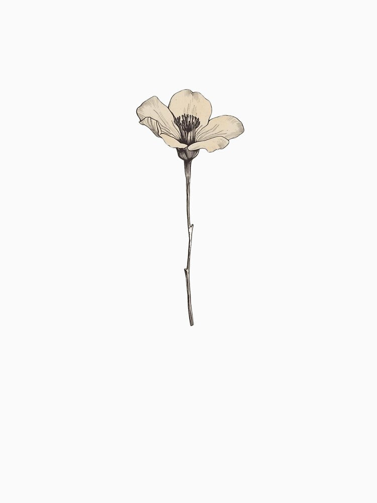 Vintage Botanical Flower Illustration by Vallentinez