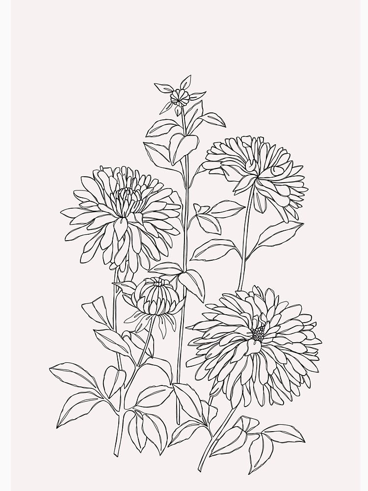 Floral illustration - Lara I by BotanicalStudy