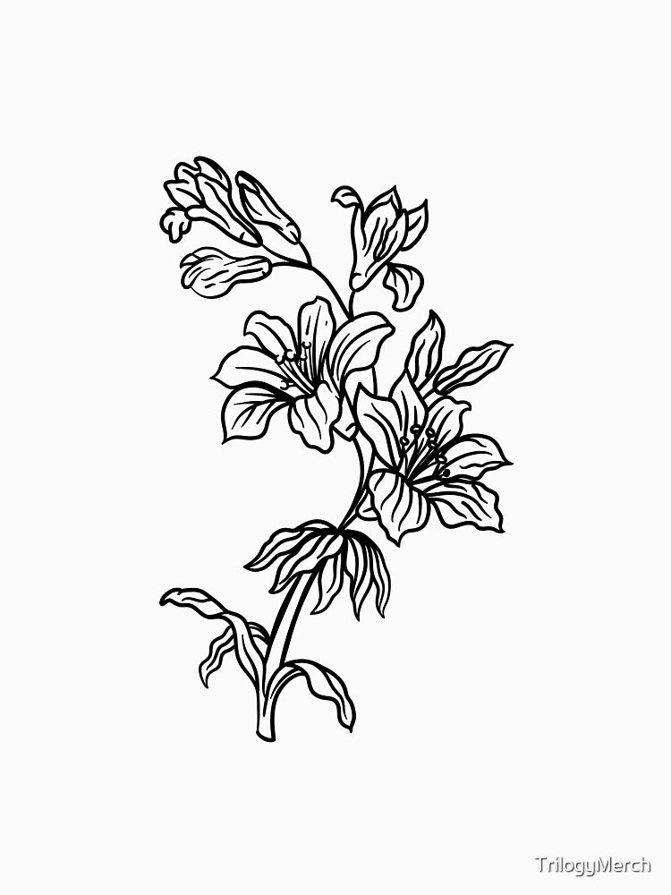Flower Leaves Botanical Line Art by TrilogyMerch