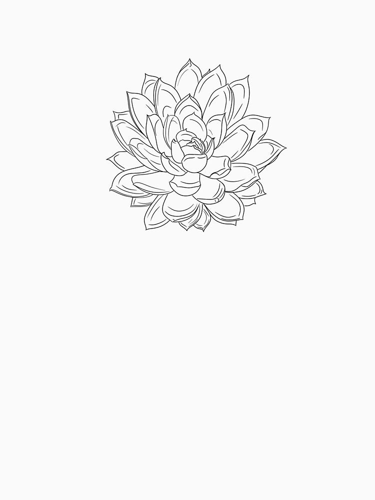 Intricate Succulent Line Art by lavavamp