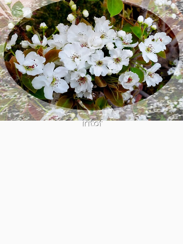White Blossom with lace trim by Iritof by iritof