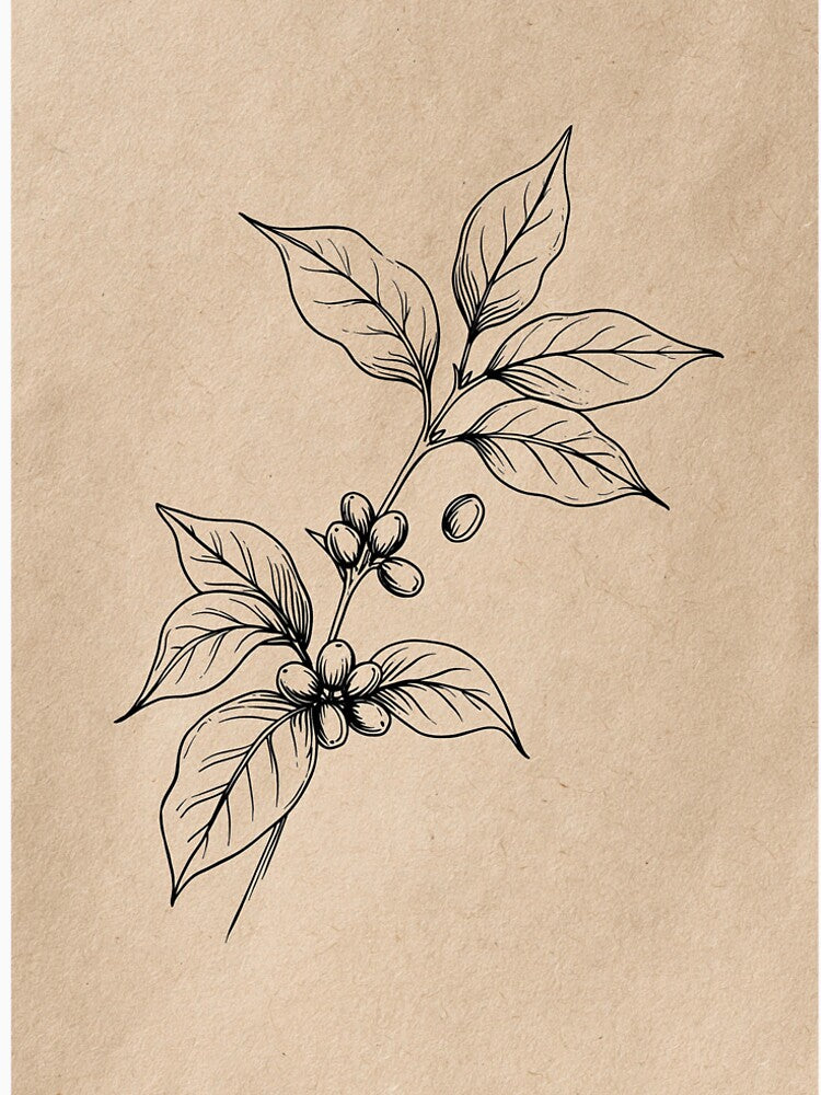 Botanical Line Drawing Plant Branch by Visual Foundry