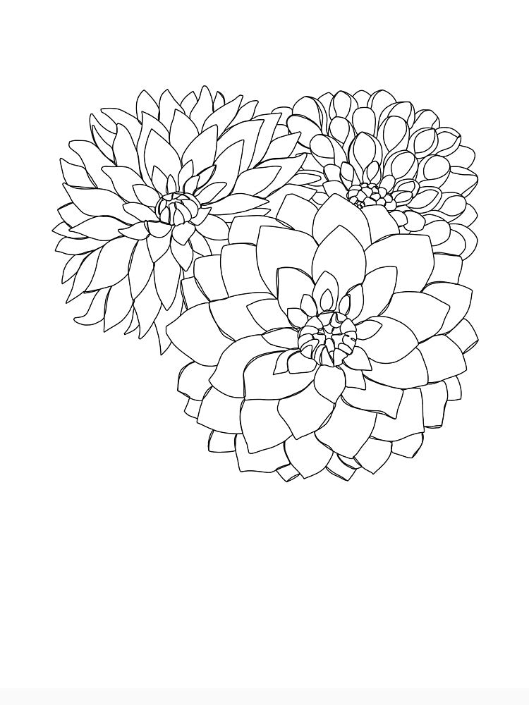 Dahlia floral illustration - Flora by TheColourStudy