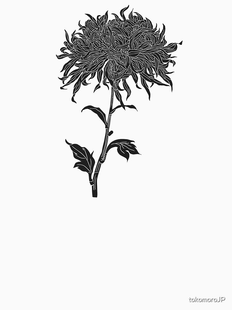 Chrysanthemum – Japanese Line Art Botanical | Plant Atlas by tokomoroJP